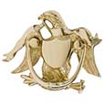 Brass Accents Eagle Door Knocker A04-K2000